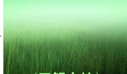 风景最新爆料文案图片素材,风景最新爆料，视觉盛宴抢先看