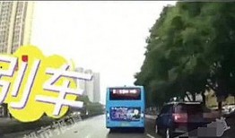 河南各市爆料事件最新,民生安全引关注